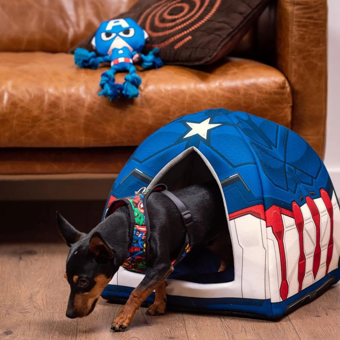 Avengers® Captain America Reb Hundelegetøj