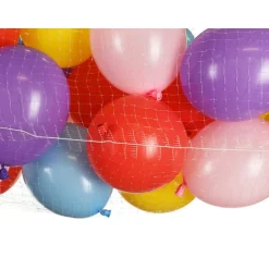 Ballonnet
