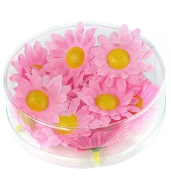 Dekorative Marguerit Blomster Lyserød