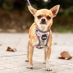 Disney Villains® Hundesele