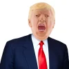 Donald Trump Maske