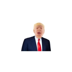 Donald Trump Maske