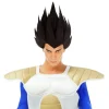 Dragon Ball Z® Vegeta Paryk
