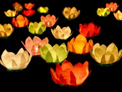Flydende Blomsterlanterner