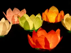 Flydende Blomsterlanterner