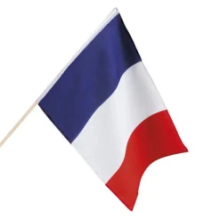 Frankrig Flag På Pind