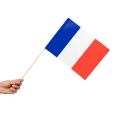 Frankrig Flag På Pinde