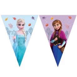 Frozen® Flagbanner