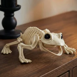 Frø Skelet