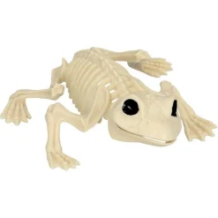 Frø Skelet