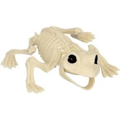 Frø Skelet