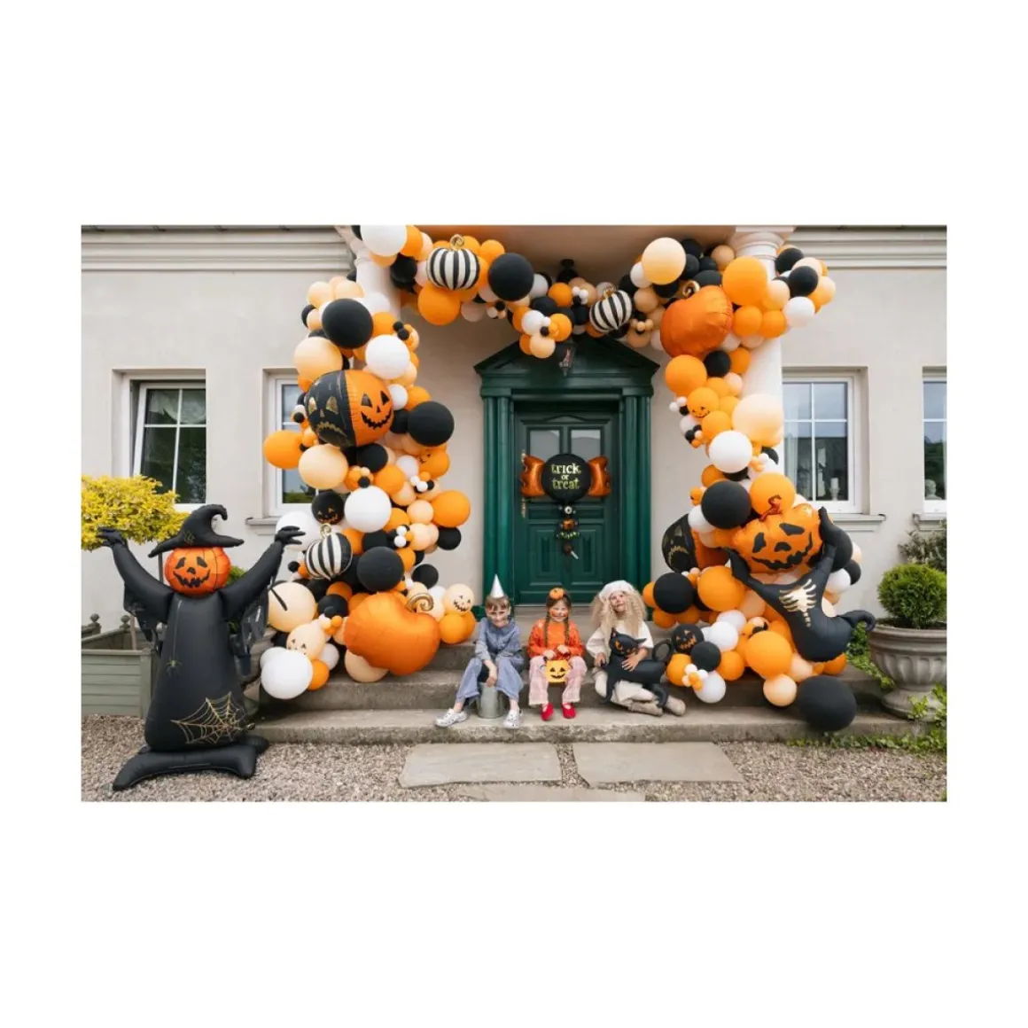 Fugleskræmsel Folieballon Sort