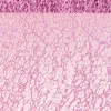 Glitter Bordløber Rosa