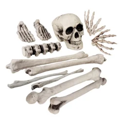 Halloween Skelet