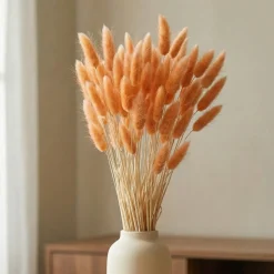 Harehaler Orange