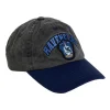 Harry Potter® Ravenclaw Kasket