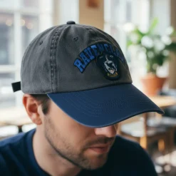 Harry Potter® Ravenclaw Kasket