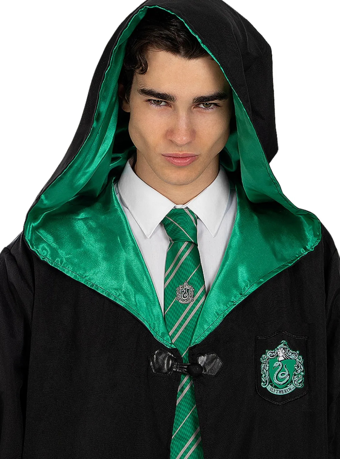 Harry Potter® Kollegie Badges