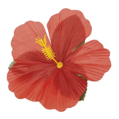 Hawaii Blomster