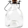 Hvepsefanger I Glas