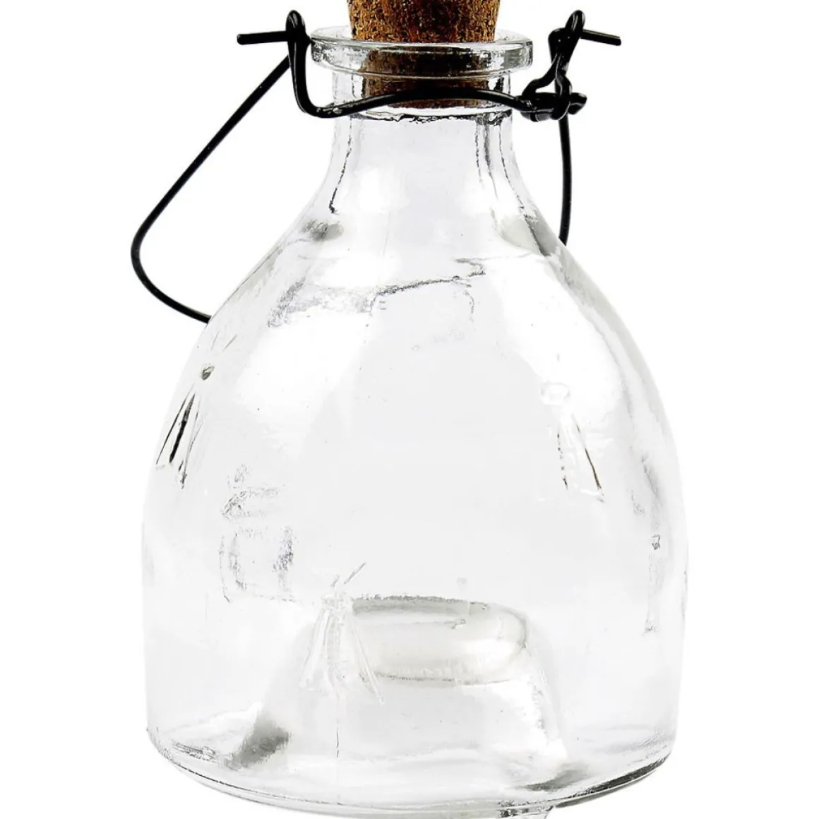 Hvepsefanger I Glas