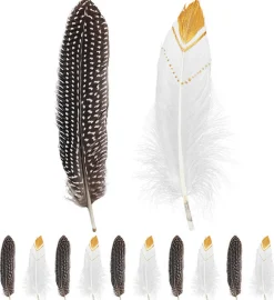 Indianerfjer