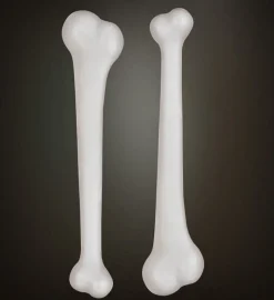 Knogler