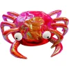 Krabbe Hat