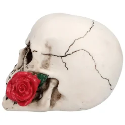 Kranie Med Rose Hvid