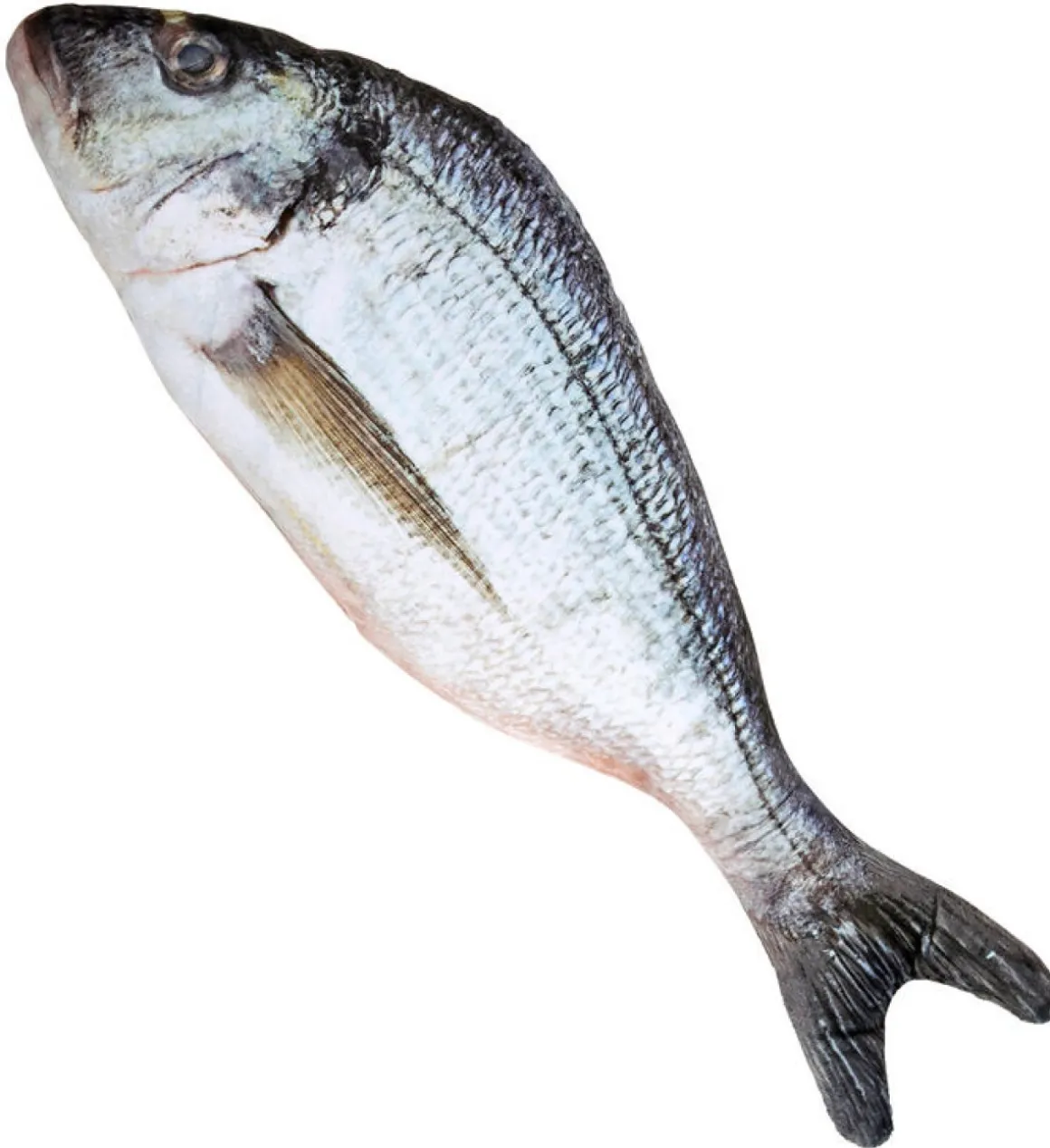Kunstig Fisk