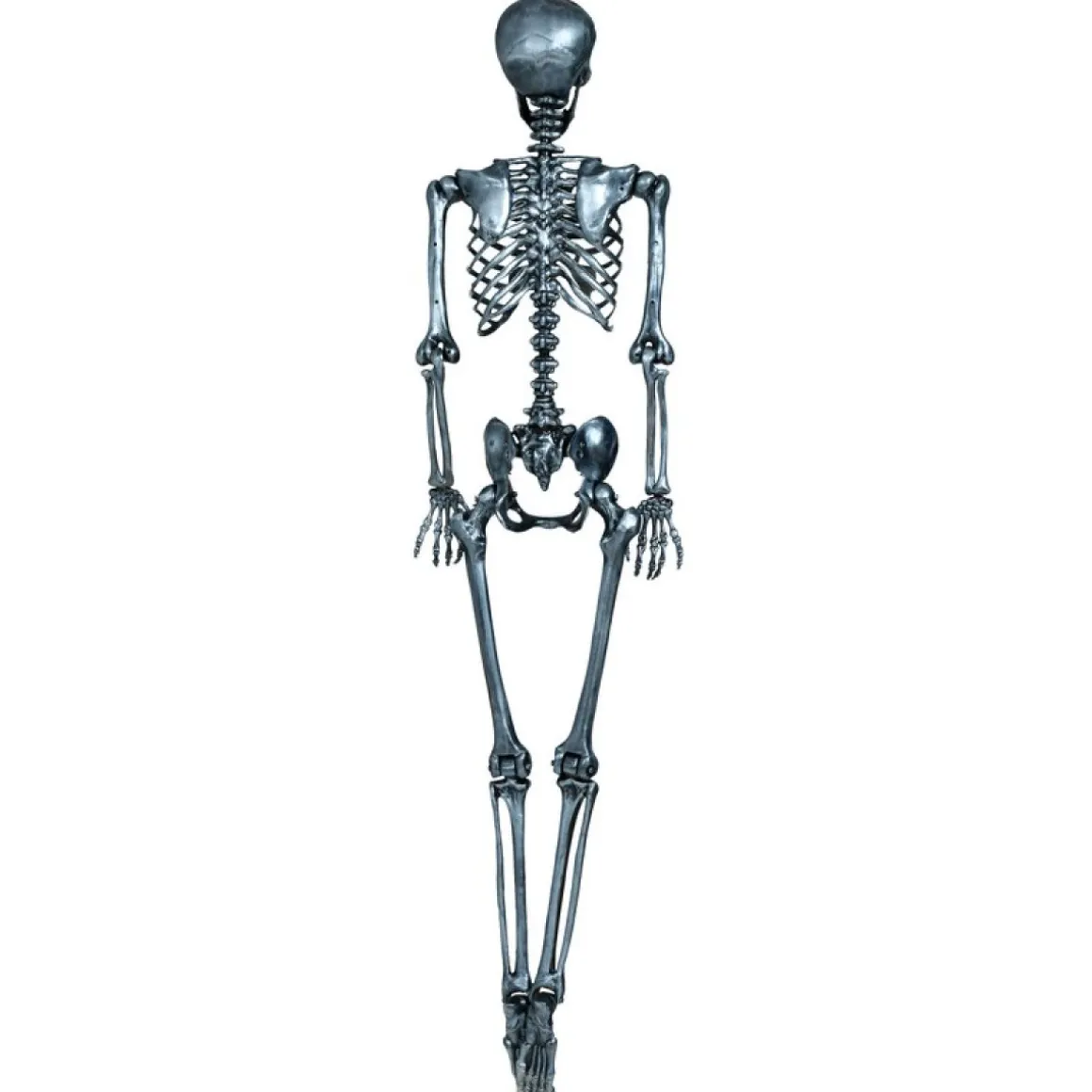Lifesize Skelet Sølv