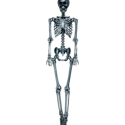 Lifesize Skelet Sølv