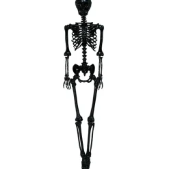 Lifesize Skelet Sort
