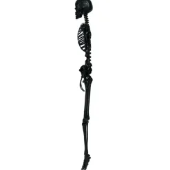 Lifesize Skelet Sort