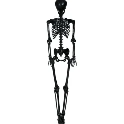 Lifesize Skelet Sort