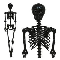 Lifesize Skelet Sort