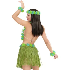 Maui Hawaii Sæt Grøn