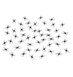 Mini Edderkopper Sort