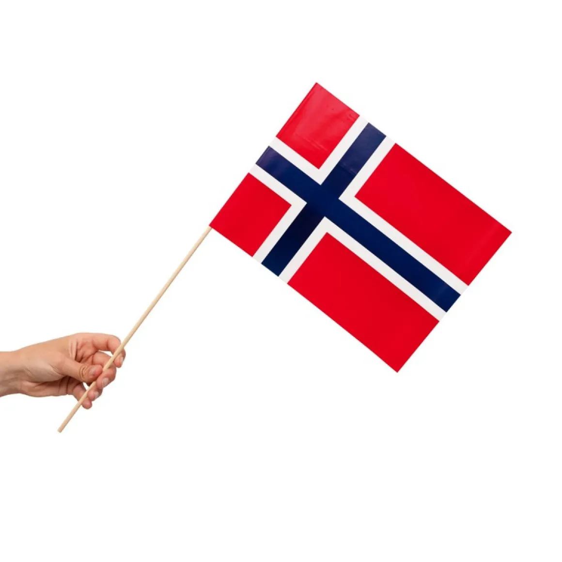 Norge Flag På Pinde