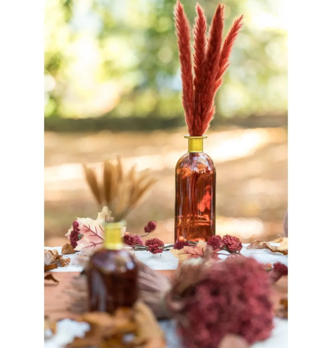 Pampasgræs Bundt Bordeaux