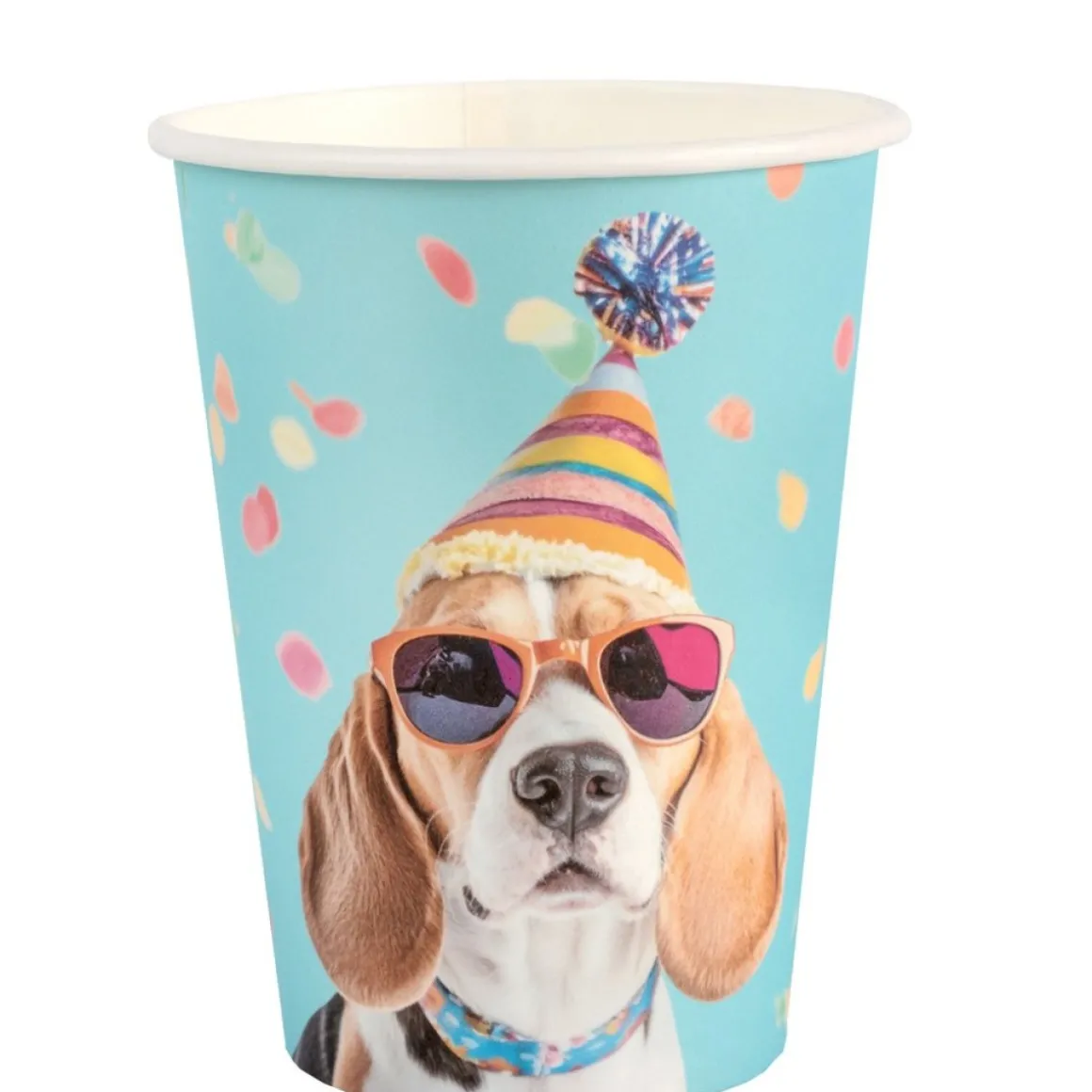 Party Dogs Papkrus
