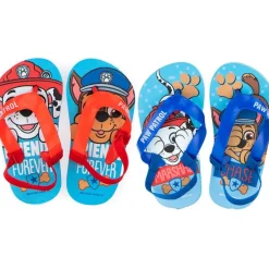 Paw Patrol® 5-i-1 Farvesæt