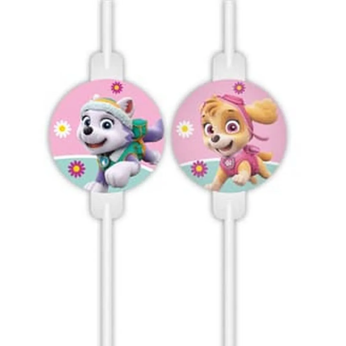 Paw Patrol® Skye & Everest Sugerør
