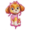 Paw Patrol® Skye Folieballon