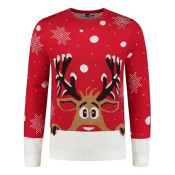 Peakaboo Rudolf Julesweater