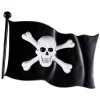 Plastik Piratflag