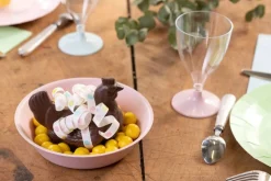 Premium Plastiktallerkener Lyserød