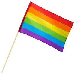 Pride Flag På Pind Regnbue