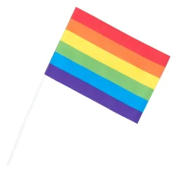 Pride Flag På Pinde Regnbue
