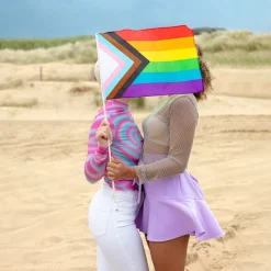 Progress Pride Flag På Pind